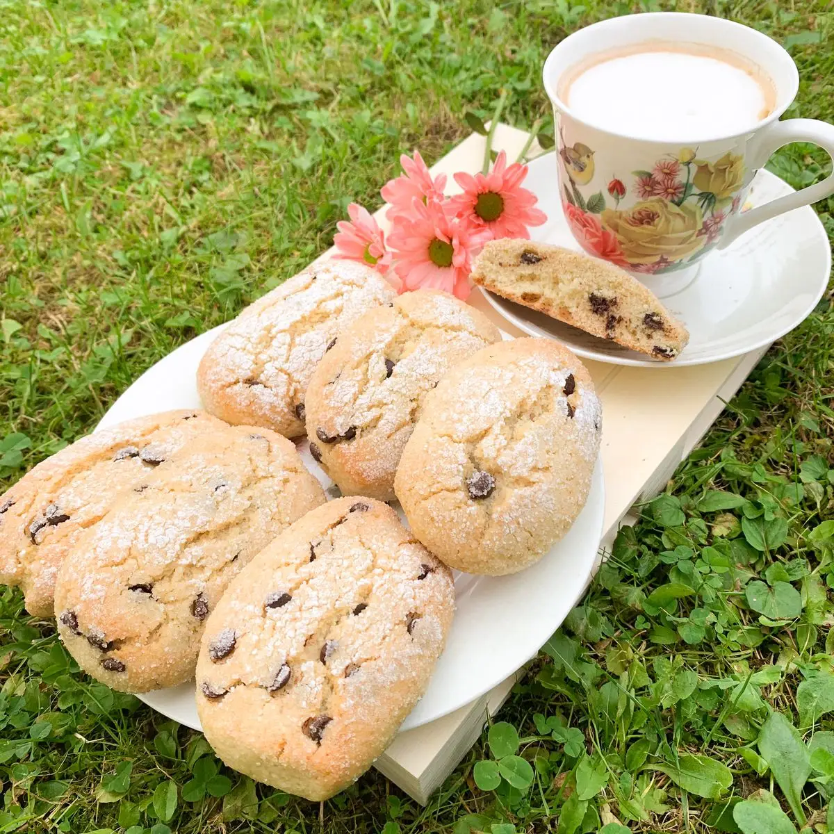 Ricetta Biscotti yogurt e gocce di cioccolato di mary984