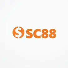 c88seocom