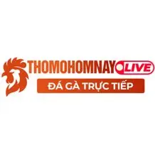 thomohomnaylive